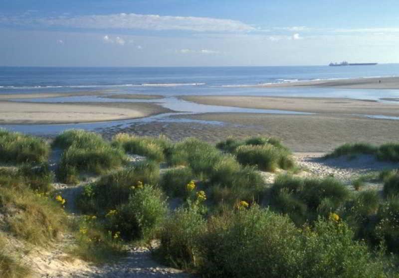 Evancy Platier D'Oye - Oye-Plage Buitenkant foto